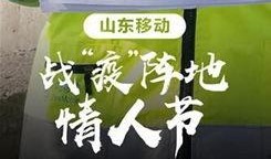 山东社会新闻爆料,揭秘近期热点事件背后的真相